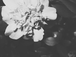 2014-02-05 10.23.51 1