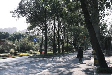 53624912-2C7F-4B8C-BD59-CA4E5160B94B/L0/001