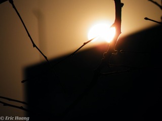 DSCF4535.jpg