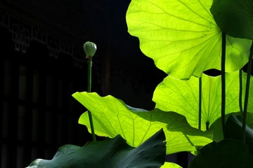 1064716