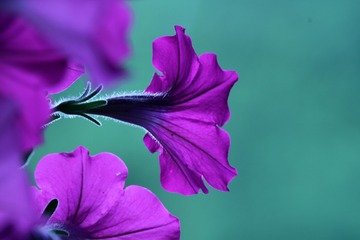 1062044