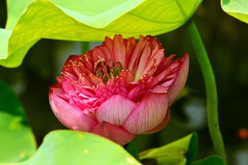 照片 638.jpg