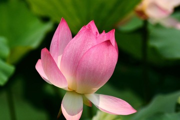 照片 650.jpg