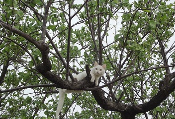 DSCF0734_