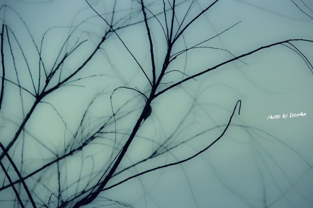 最自然的山水画~~~<br />
曝光参数：<br />
ISO 100 焦距：135mm  f/5.6  1/4000s