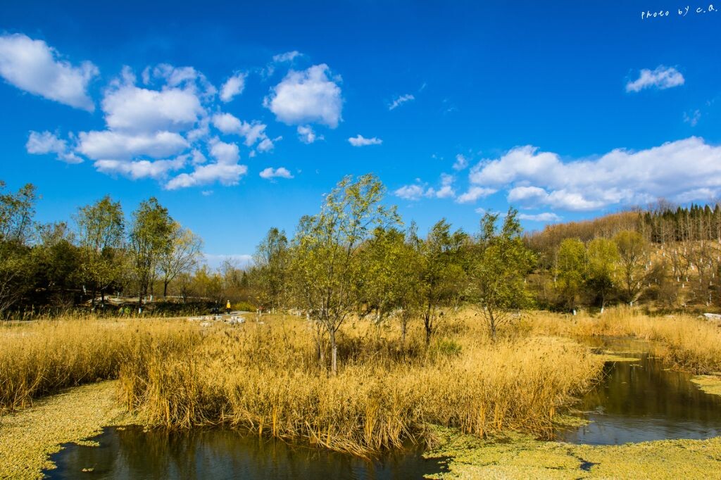 参数<br />
ISO 100 焦距 18mm 光圈 f/8.0 快门 1/320