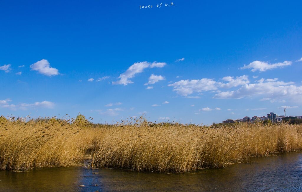 参数<br />
ISO 100 焦距 18mm 光圈 f/8.0 快门 1/640