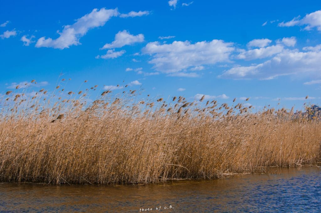 参数<br />
ISO 100 焦距 36mm 光圈 f/8.0 快门 1/400
