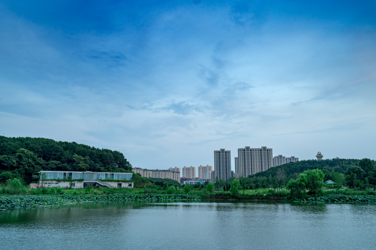 武汉江夏藏龙岛湿地公园2