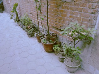 WP_004740_副本.jpg