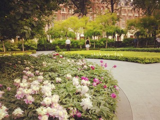 park.jpg