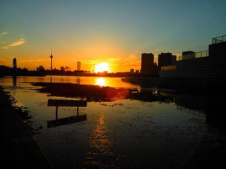 WP_005052.jpg