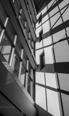 IMAG0385.jpg