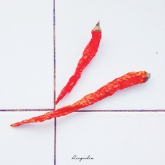 戒椒戒燥