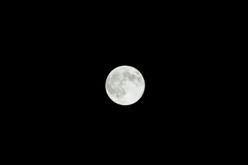 IMG_7286.jpg