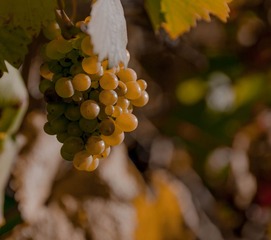 20130619-IMGP0756.jpg