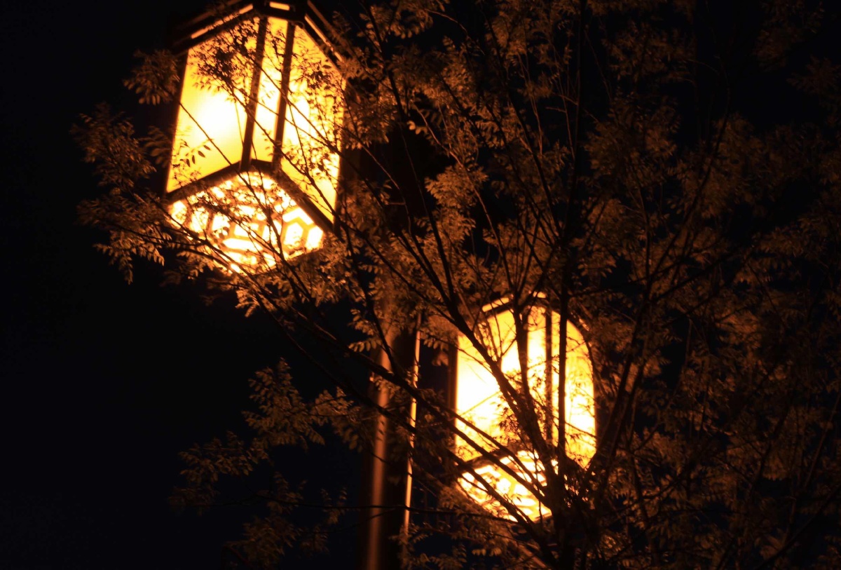 暮色苍茫,城灯初上