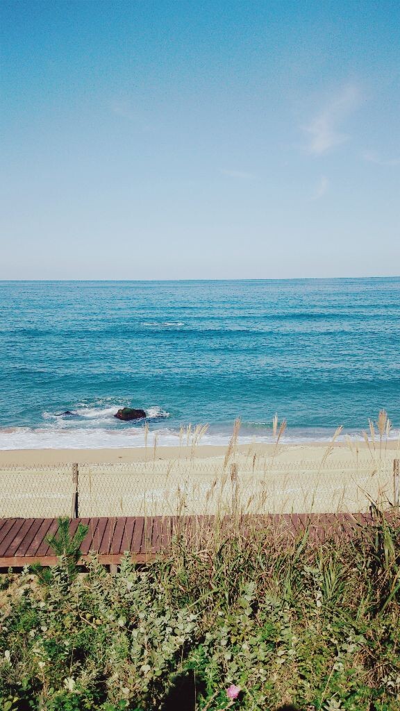DSC_0056_<br />
