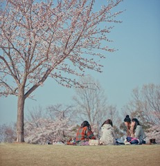 DSC_2447_1.jpg