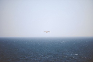 DSC_4091.jpg