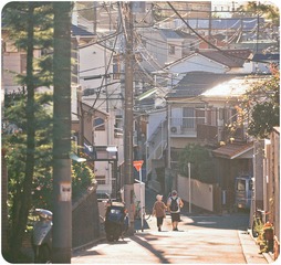 DSC_8237.jpg