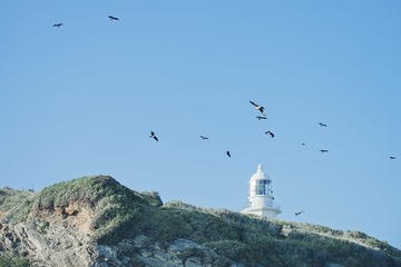 DSC_1980.jpg
