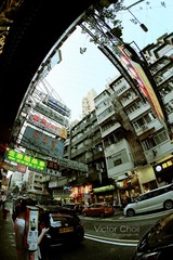 IMG_7345_