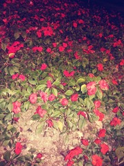 WP_000178_副本.jpg