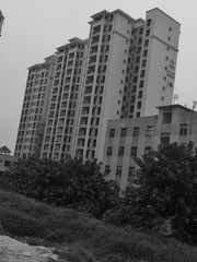 WP_000088_副本.jpg