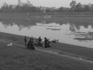 WP_000164_副本.jpg