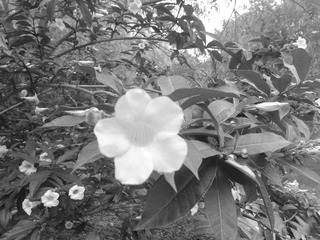 WP_000850_副本.jpg