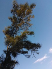 WP_001801.jpg