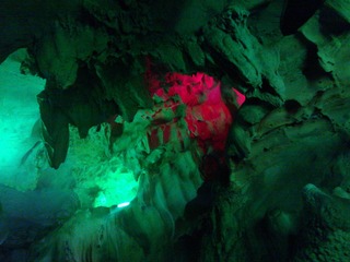 WP_002590