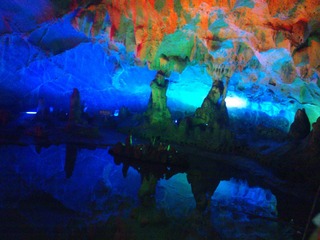 WP_002621