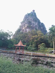 WP_002730