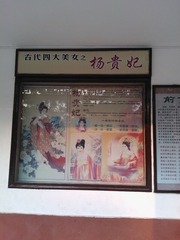 WP_002887