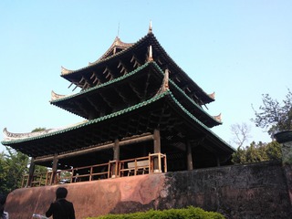 WP_002829