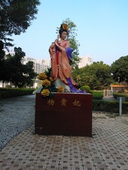 WP_002837