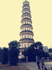 WP_003333_