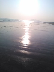 WP_004090