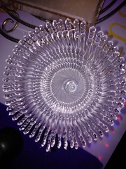 WP_004273