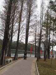 WP_004359