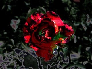 残花之花