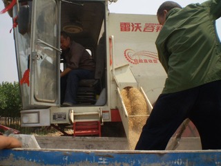 火药味