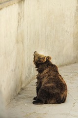 IMG_1070 副本-6.jpg