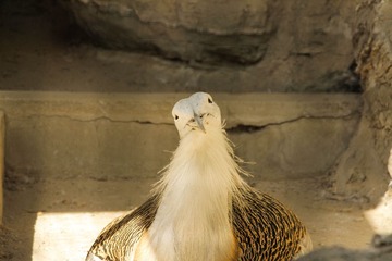 IMG_0840 副本-3.jpg
