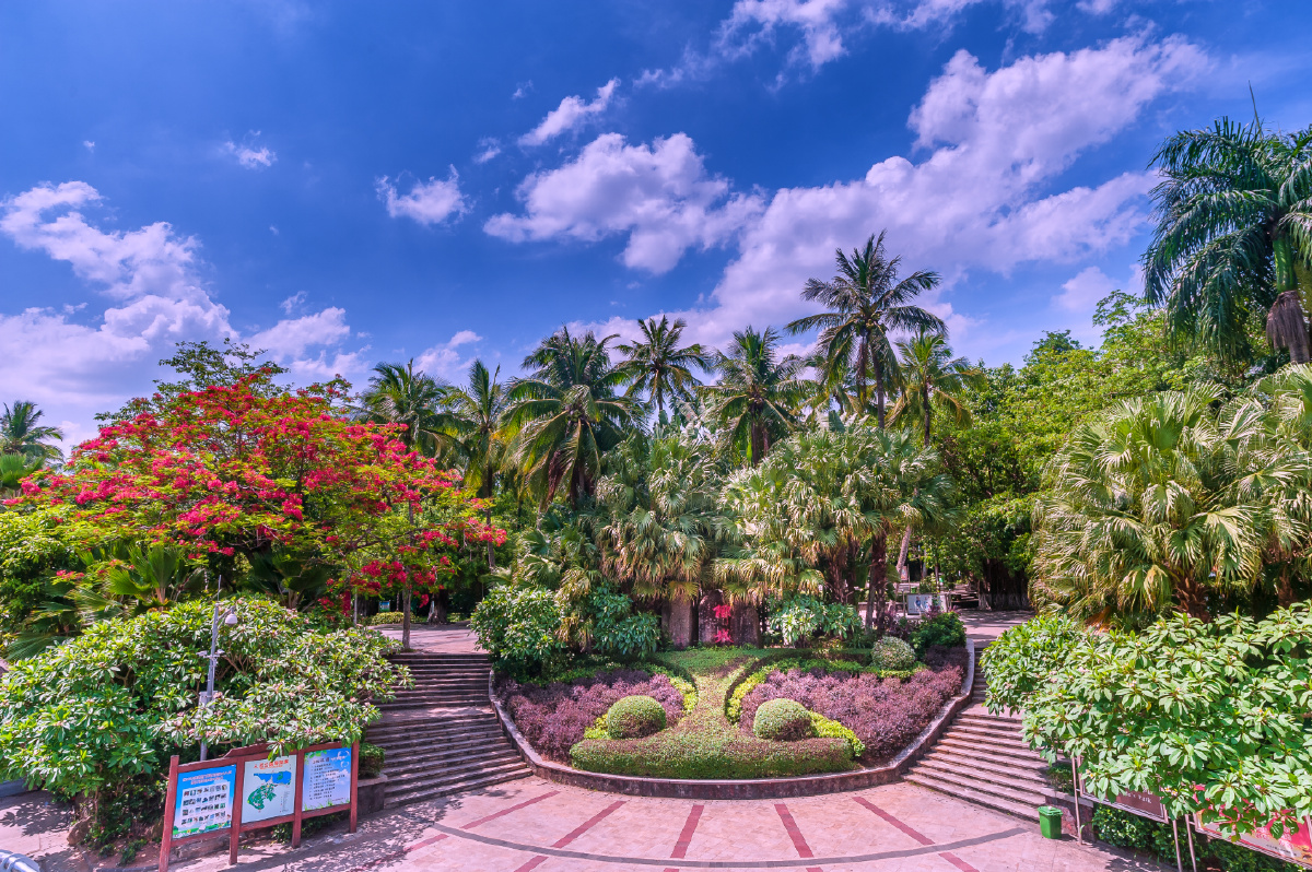 午后椰城风光明媚 (拍摄于海口省海口市)