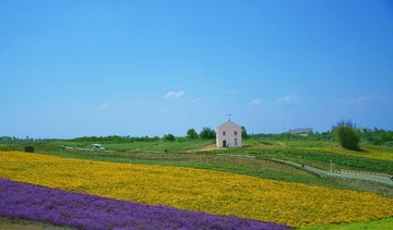 DSC_2261.jpg