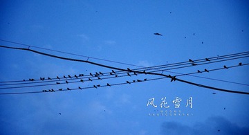DSC_0189.jpg