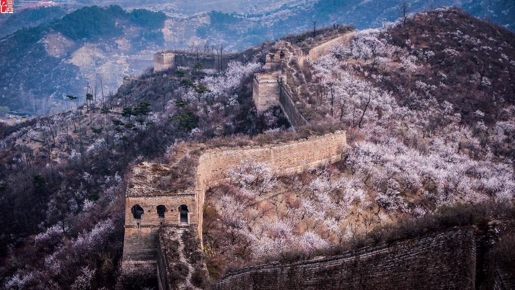 撞道口春色